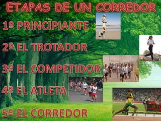 ETAPAS DE UN CORREDOR1º PRINCIPIANTE2º EL TROTADOR3º EL COMPETIDOR4º EL ATLETA5º EL CORREDOR