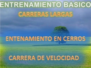 ENTRENAMIENTO BASICOCARRERASLARGASENTENAMIENTO EN CERROSCARRERA DE VELOCIDAD