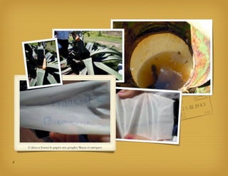 L’aloes a fourni le papier aux peuples Mayas et aztèques




8
 