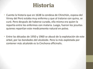 Historia
• Cuenta la historia que en 1638 la condesa de Chinchón, esposa del
Virrey del Perú estaba muy enferma y que al tratarse con quina, se
curó. Pero después de haberse curado, ella misma era quien la
repartía entre los enfermos con malaria. Luego, fueron los jesuitas
quienes repartían este medicamento natural en polvo.
• Entre las décadas de 1950 y 1960 se abusó de la explotación de este
árbol, por las bondades del alcaloide. Pero la más explotada por
contener más alcaloide es la Cinchona officinalis.

 