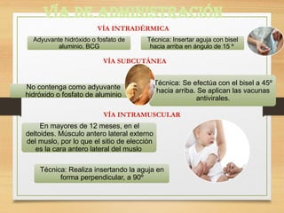 Musulo Bisel exposcion de pediatria esquema de vacunacion.pptx