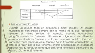  Los fonemas y las letras
Cuando un músico toca un instrumento oímos sonidos. Los sonidos
musicales se transcriben siempre con la misma nota, que representa
siempre el mismo sonido. En cambio, cuando transcribimos
ortográficamente los fonemas, utilizamos en algunos casos diferentes
letras para el mismo fonema y, a la vez, una misma letra sirve para
transcribir varios fonemas. Así el fonema /k/ se transcribe con las letras c,
esta es la razón por la que tenemos errores ortográficos: en el alfabeto
español hay 30 letras, en tanto que el sistema fonológico del español de
México sólo tiene 22 fonemas.
 