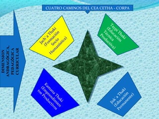 Jach`a
Thaki
(Form
ación
Socio
H
um
anística)
Kam
ana
Thaki
(Em
prendim
ien
tosProductivos
Jisk`a
Thaki
(Educación
Perm
anente)
Taypi Thaki
(Educación
Técnica
Productiva)
CUATRO CAMINOS DEL CEA CETHA - CORPA
DIMENSION
ANDRAGÓGICA,
PEDAGÓGICA
CURRICULAR
 