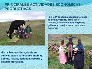PRINCIPALES ACTIVIDADES ECONÓMICAS –
PRODUCTIVAS
-En la Producción agrícola se
cultiva: papas variedades andinas,
quinua, habas, cañahua, cebada y
algunas hortalizas.
- En la Producción pecuaria: crianza
de ovino, vacuno, camélido y
porcino, como animales mayores;
gallinas y conejos como animales
menores.
 