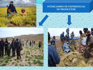 INTERCAMBIO DE EXPERIENCIAS
DE PRODUCTOR
 