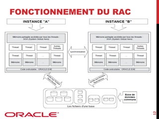 12

FONCTIONNEMENT DU RAC

 