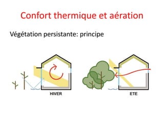 Confort thermique et aération
Végétation persistante: principe
 