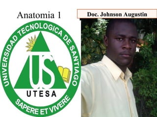 Anatomia 1
..utesa.jpg
Doc.Doc. Johnson AugustinJohnson Augustin
 