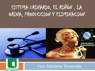 SISTEMA URINARIO, EL RIÑÓN , LA
ORINA, PRODUCCION Y ELIMINACION




            Fase Saludable/ Terasemilla
 