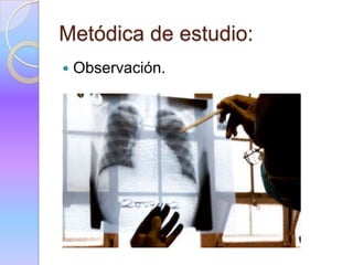 Metódica de estudio:
Observación.