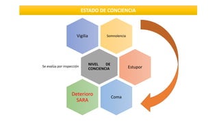 ESTADO DE CONCIENCIA
Somnolencia
Vigilia
NIVEL DE
CONCIENCIA
Se evalúa por inspección Estupor
Coma
Deterioro
SARA
 