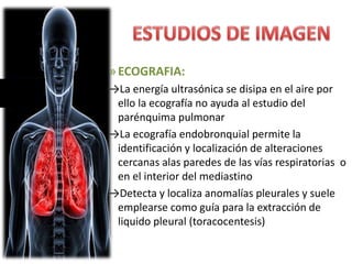 »ECOGRAFIA:
→La energía ultrasónica se disipa en el aire por
ello la ecografía no ayuda al estudio del
parénquima pulmonar
→La ecografía endobronquial permite la
identificación y localización de alteraciones
cercanas alas paredes de las vías respiratorias o
en el interior del mediastino
→Detecta y localiza anomalías pleurales y suele
emplearse como guía para la extracción de
liquido pleural (toracocentesis)
 