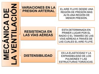 MECÁNICADE
LAVENTILACIÓN
VARIACIONES EN LA
PRESION ARTERIAL
RESISTENCIA EN
LAS VÍAS AÉREAS
DISTENSIBILIDAD
EL AIRE FLUYE DESDE UNA
REGIÓN DE PRESIÓN MAS
ALTA UNA REGIÓN DE
MENOR PRESIÓN.
ESTA DETERMINADA EN
PRIMER LUGAR POR EL
RADIO O EL TAMAÑO DE LAS
VÍAS AÉREAS A TRAVÉS DE
LAS CUALES EL AIRE FLUYE.
ES LA ELASTICIDAD Y LA
EXPANSIBILIDAD DE LOS
PULMONES Y LAS
ESTRUCTURAS TORÁCICAS.
 