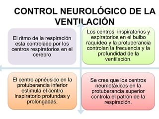 CONTROL NEUROLÓGICO DE LA
VENTILACIÓN
El ritmo de la respiración
esta controlado por los
centros respiratorios en el
cerebro
Los centros inspiratorios y
espiratorios en el bulbo
raquídeo y la protuberancia
controlan la frecuencia y la
profundidad de la
ventilación.
El centro apnéusico en la
protuberancia inferior
estimula el centro
inspiratorio profundas y
prolongadas.
Se cree que los centros
neumotáxicos en la
protuberancia superior
controla el patrón de la
respiración.
 
