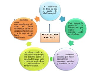 AUSCULTACIÓN
CARDIACA
 