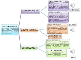 finos
gruesos
estertores
 