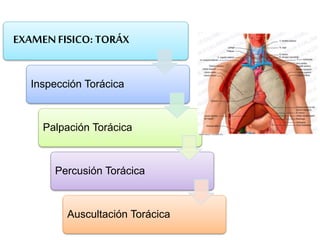 EXAMENFISICO: TORÁX
Inspección Torácica
Palpación Torácica
Percusión Torácica
Auscultación Torácica
 