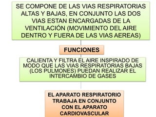 SE COMPONE DE LAS VIAS RESPIRATORIAS
ALTAS Y BAJAS, EN CONJUNTO LAS DOS
VIAS ESTAN ENCARGADAS DE LA
VENTILACIÓN (MOVIMIENTO DEL AIRE
DENTRO Y FUERA DE LAS VIAS AEREAS)
CALIENTA Y FILTRA EL AIRE INSPIRADO DE
MODO QUE LAS VIAS RESPIRATORIAS BAJAS
(LOS PULMONES) PUEDAN REALIZAR EL
INTERCAMBIO DE GASES
FUNCIONES
EL APARATO RESPIRATORIO
TRABAJA EN CONJUNTO
CON EL APARATO
CARDIOVASCULAR
 