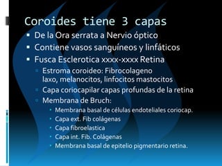 Coroides tiene 3 capas
 De la Ora serrata a Nervio óptico
 Contiene vasos sanguíneos y linfáticos
 Fusca Esclerotica xxxx-xxxx Retina
 Estroma coroideo: Fibrocolageno
laxo, melanocitos, linfocitos mastocitos
 Capa coriocapilar capas profundas de la retina
 Membrana de Bruch:
 Membrana basal de células endoteliales coriocap.
 Capa ext. Fib colágenas
 Capa fibroelastica
 Capa int. Fib. Colágenas
 Membrana basal de epitelio pigmentario retina.
 