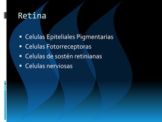 Retina
 Celulas Epiteliales Pigmentarias
 Celulas Fotorreceptoras
 Celulas de sostén retinianas
 Celulas nerviosas
 