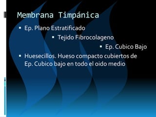 Membrana Timpánica
 Ep. Plano Estratificado
 Tejido Fibrocolageno
 Ep. Cubico Bajo
 Huesecillos. Hueso compacto cubiertos de
Ep. Cubico bajo en todo el oido medio
 