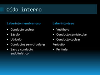 Oído interno
Laberinto membranoso Laberinto óseo
 Conducto coclear
 Sáculo
 Utrículo
 Conductos semicirculares
 Saco y conducto
endolinfatico
 Vestíbulo
 Conducto semicircular
 Conducto coclear
Periostio
 Perilinfa
 