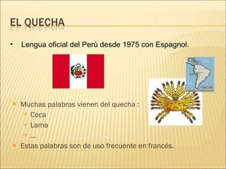 Muchas palabras vienen del quecha : Coca Lama … Estas palabras son de uso frecuente en francés. Lengua oficial del Perù desde 1975 con Espagnol. 