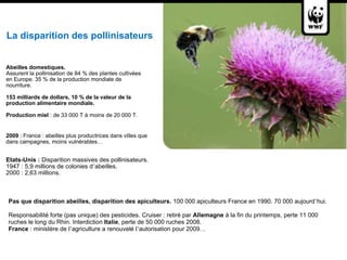 La disparition des pollinisateurs  Abeilles domestiques.  Assurent la pollinisation de 84 % des plantes cultivées en Europe. 35 % de la production mondiale de nourriture.  153 milliards de dollars, 10 % de la valeur de la  production alimentaire mondiale.  Production miel  : de 33 000 T à moins de 20 000 T.  2009  : France : abeilles plus productrices dans villes que  dans campagnes, moins vulnérables … Etats-Unis :  Disparition massives des pollinisateurs. 1947 : 5,9 millions de colonies d ’ abeilles. 2000 : 2,63 millions.  Pas que disparition abeilles, disparition des apiculteurs.  100 000 apiculteurs France en 1990. 70 000 aujourd ’ hui. Responsabilité forte (pas unique) des pesticides. Cruiser : retiré par  Allemagne  à la fin du printemps, perte 11 000 ruches le long du Rhin. Interdiction  Italie , perte de 50 000 ruches 2008.  France  : ministère de l ’ agriculture a renouvelé l ’ autorisation pour 2009 …   