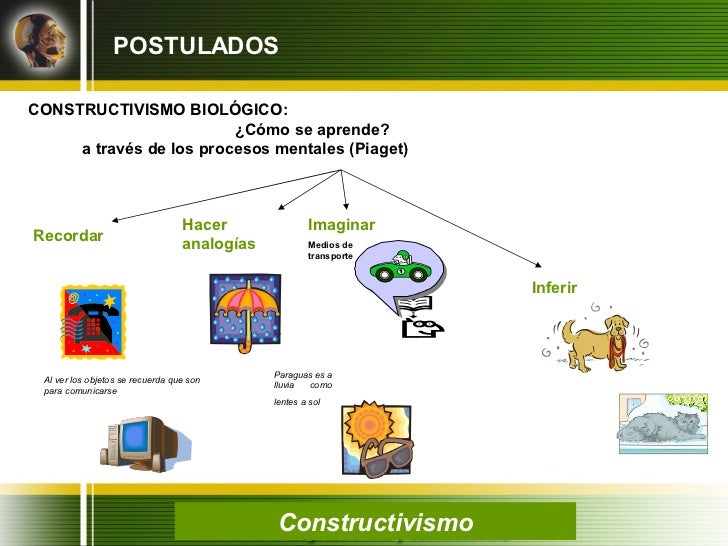Resultado de imagen para constructivismo biologico