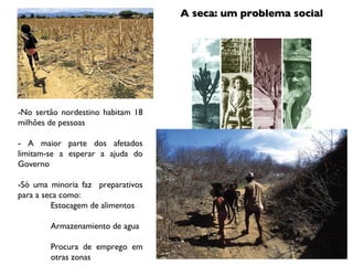 A seca: um problema social -No sertão nordestino habitam 18 milhões de pessoas - A maior parte dos afetados limitam-se a esperar a ajuda do Governo -Só uma minoria faz  preparativos para a seca como: Estocagem de alimentos Armazenamiento de agua Procura de emprego em otras zonas 