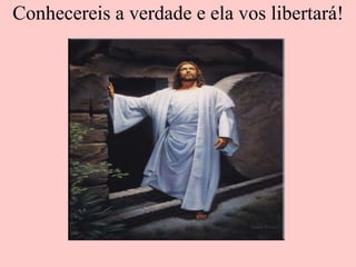 Conhecereis a verdade e ela vos libertará! 