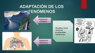 ADAPTACIÓN DE LOS
FENÓMENOS
Adaptación
Unilateral
Adaptación
Recíproca
•Equilibrio móvil
•Acciones
encadenadas
•Variaciones
 