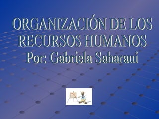 ORGANIZACIÓN DE LOS  RECURSOS HUMANOS Por: Gabriela Saharaui 