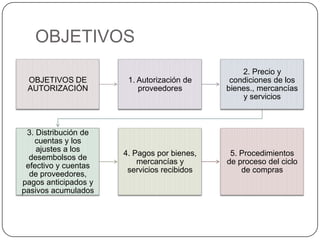 OBJETIVOS
                                                 2. Precio y
 OBJETIVOS DE          1. Autorización de     condiciones de los
 AUTORIZACIÓN             proveedores        bienes., mercancías
                                                 y servicios



 3. Distribución de
   cuentas y los
    ajustes a los
                      4. Pagos por bienes,    5. Procedimientos
  desembolsos de
                          mercancías y       de proceso del ciclo
 efectivo y cuentas
                       servicios recibidos       de compras
  de proveedores,
pagos anticipados y
pasivos acumulados
 