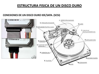 ESTRUCTURA FISICA DE UN DISCO DURO
CONEXIONES DE UN DISCO DURO IDE/SATA. (SCSI)
 