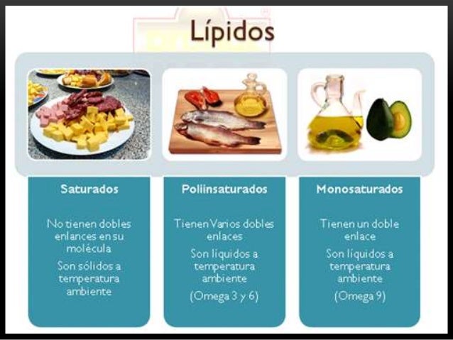 Lipidos y Proteinas