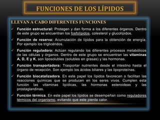 FUNCIONES DE LOS LÍPIDOS
LLEVAN A CABO DIFERENTES FUNCIONES
 Función estructural: Protegen y dan forma a los diferentes órganos. Dentro
de este grupo se encuentran los fosfolípidos, colesterol y glucolípidos.
 Función de reserva: Acumulación de lípidos para la obtención de energía.
Por ejemplo los triglicéridos.
 Función reguladora: Actúan regulando los diferentes procesos metabólicos
de las células y órganos. Dentro de este grupo se encuentran las vitaminas
A, D, E y K, son liposolubles (solubles en grasas) y las hormonas.
 Función transportadora: Trasportar nutrientes desde el intestino hasta el
órgano de recepción. Son ejemplo los ácidos biliares y las lipoproteínas.
 Función biocatalizadora. En este papel los lípidos favorecen o facilitan las
reacciones químicas que se producen en los seres vivos. Cumplen esta
función las vitaminas lipídicas, las hormonas esteroideas y las
prostaglandinas.
 Función térmica. En este papel los lípidos se desempeñan como reguladores
térmicos del organismo, evitando que este pierda calor.

 