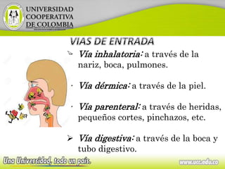  Vía inhalatoria: a través de la
nariz, boca, pulmones.
 Vía dérmica: a través de la piel.
 Vía parenteral: a través de heridas,
pequeños cortes, pinchazos, etc.
 Vía digestiva: a través de la boca y
tubo digestivo.
 
