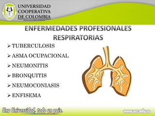 TUBERCULOSIS
ASMA OCUPACIONAL
NEUMONITIS
BRONQUITIS
NEUMOCONIASIS
ENFISEMA
 