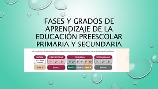 FASES Y GRADOS DE
APRENDIZAJE DE LA
EDUCACIÓN PREESCOLAR
PRIMARIA Y SECUNDARIA
 