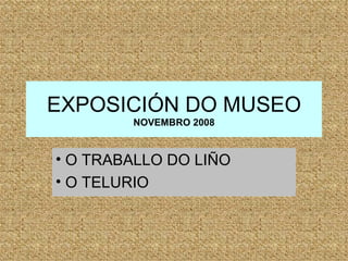 EXPOSICIÓN DO MUSEO NOVEMBRO 2008 ,[object Object],[object Object]
