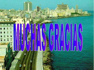 MUCHAS GRACIAS 