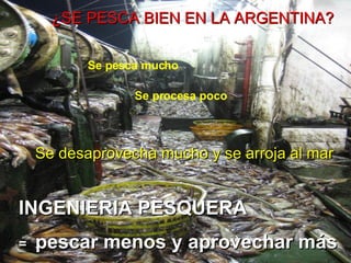 ¿SE PESCA BIEN EN LA ARGENTINA? Se pesca mucho Se procesa poco Se desaprovecha mucho y se arroja al mar INGENIERIA PESQUERA =  pescar menos y aprovechar más 