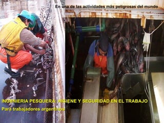 INGENIERIA PESQUERA: HIGIENE Y SEGURIDAD EN EL TRABAJO Para trabajadores argentinos En una de las actividades más peligrosas del mundo 