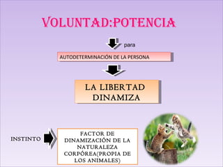 VOLUNTAD:POTENCIA para AUTODETERMINACIÓN DE LA PERSONA LA LIBERTAD  DINAMIZA INSTINTO FACTOR DE DINAMIZACIÓN DE LA NATURALEZA CORPÓREA(PROPIA DE LOS ANIMALES) 