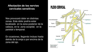 Afectación de los nervios
cervicales sensitivos
Nos provocará dolor en distintas
zonas. Este dolor podría estar
localizado en la zona posterior de la
cabeza, en la zona occipital, en la
parietal o temporal.
En ocasiones, llegando incluso hasta
detrás de la oreja o por encima de la
zona del ojo.
 