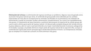 Eliminación de la Grasa: La eliminación de la grasa constituye un problema. Algunas razas de ganado ovino
acumulan más grasa natural que otras. El contenido de grasa puede verse afectado por los cambios
estacionales (es más alto en la mayoría de los animales sacrificados en la primavera) y los métodos de
alimentación cuando los animales reciben alimentación complementaria, los cueros son indudablemente
más grasos. El tratamiento de base (mecánico y químico) descompone la mayoría de las células grasas del
cuero o piel y elimina gran parte de la grasa natural. Un descarnado completo después del remojo elimina
la grasa adiposa y abre el cuero o piel permitiendo una mayor reactividad durante el proceso subsiguiente.
El encalado, la purga y el piclado elimina la mayor parte de la grasa natural de la capa de la flor, aunque el
contenido de la grasa del corium principal sigue siendo básicamente el mismo. Las temperaturas elevadas
que se emplean en el baño de curtición al cromo eliminan más grasa.
 