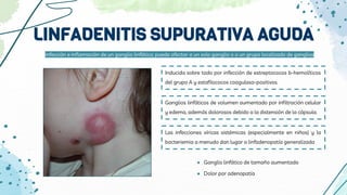 LINFADENITIS SUPURATIVA AGUDA
Inducida sobre todo por infección de estreptococos b-hemolíticos
del grupo A y estafilococos coagulasa-positivos.
Ganglios linfáticos de volumen aumentado por infiltración celular
y edema, además dolorosos debido a la distensión de la cápsula.
Infección e inflamación de un ganglio linfático; puede afectar a un solo ganglio o a un grupo localizado de ganglios
● Ganglio linfático de tamaño aumentado
● Dolor por adenopatía
Las infecciones víricas sistémicas (especialmente en niños) y la
bacteriemia a menudo dan lugar a linfadenopatía generalizada
 