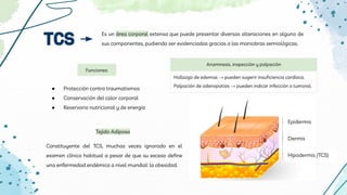 TCS
Es un área corporal extensa que puede presentar diversas alteraciones en alguno de
sus componentes, pudiendo ser evidenciadas gracias a las maniobras semiológicas.
Hallazgo de edemas → pueden sugerir insuficiencia cardíaca.
Palpación de adenopatías → pueden indicar infección o tumoral.
Anamnesis, inspección y palpación
Constituyente del TCS, muchas veces ignorado en el
examen clínico habitual a pesar de que su exceso define
una enfermedad endémica a nivel mundial: la obesidad.
Funciones:
● Protección contra traumatismos
● Conservación del calor corporal
● Reservorio nutricional y de energía
Epidermis
Dermis
Hipodermis /TCS)
Tejido Adiposo
 