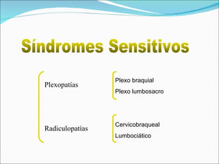 Plexopatías Radiculopatías Síndromes Sensitivos  Plexo braquial Plexo lumbosacro Cervicobraqueal  Lumbociático  